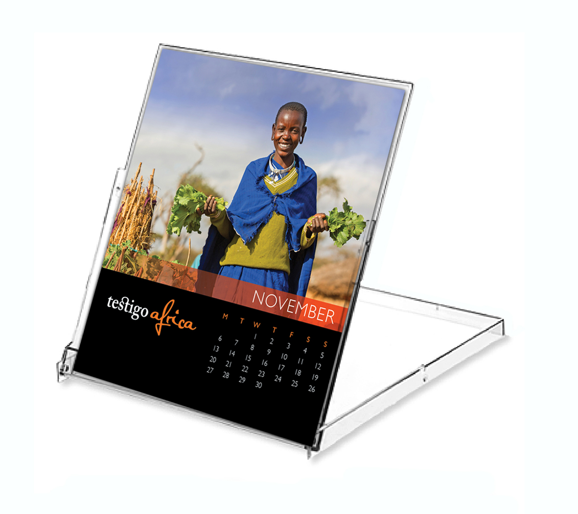 Photo of the 2017 desktop calendar setup