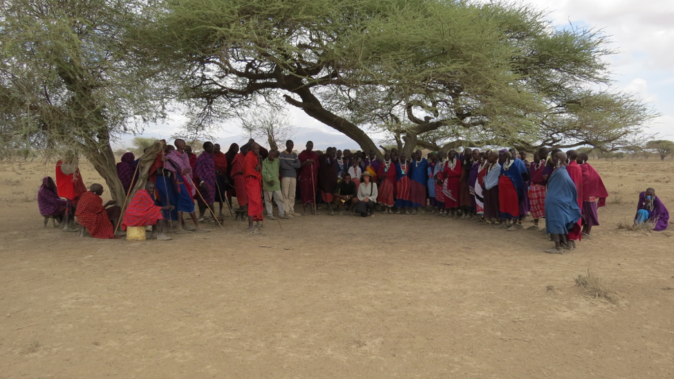 Photo showing a lot of Masai grouped together under some trees.