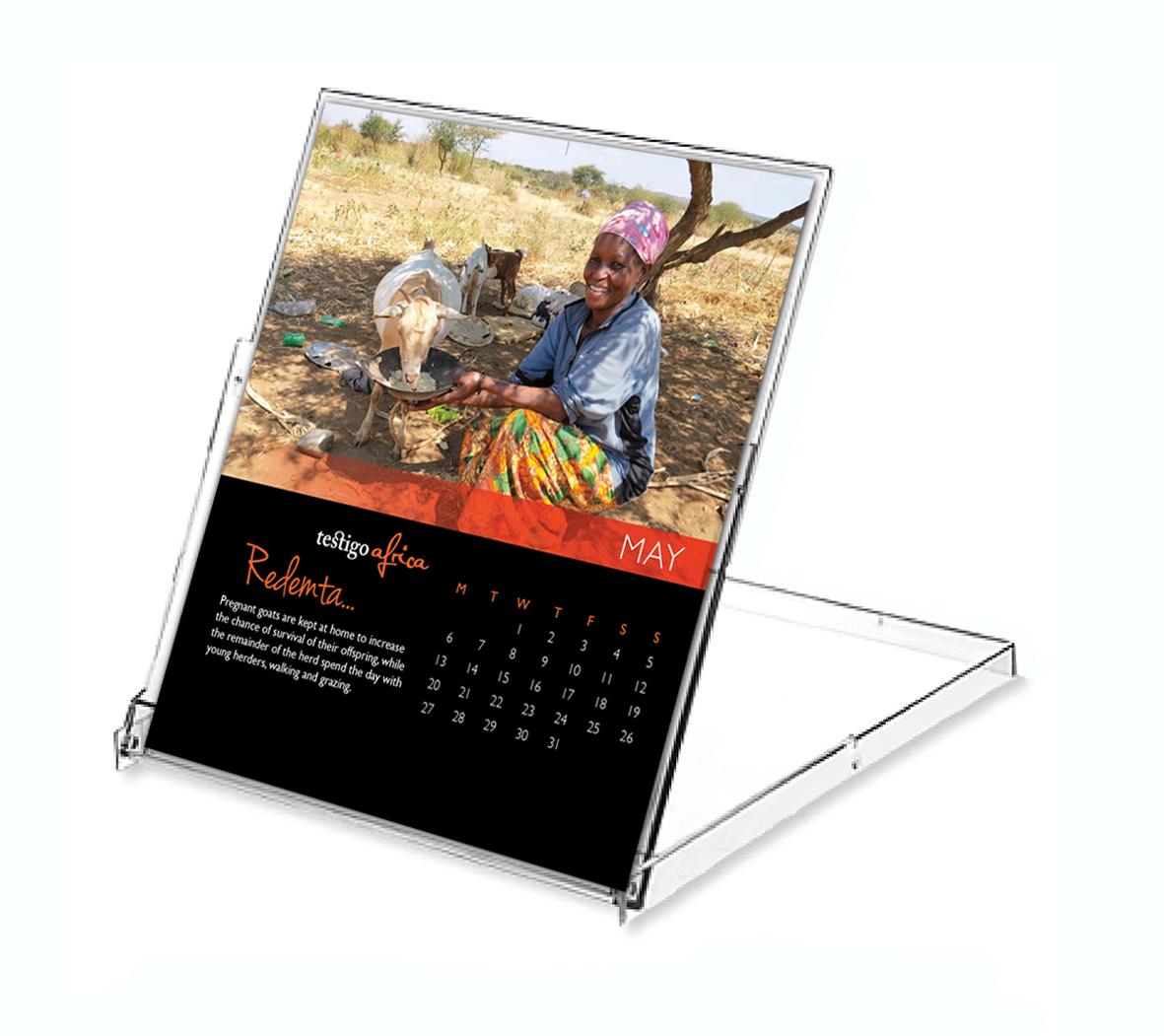 Photo of the 2019 desktop calendar setup
