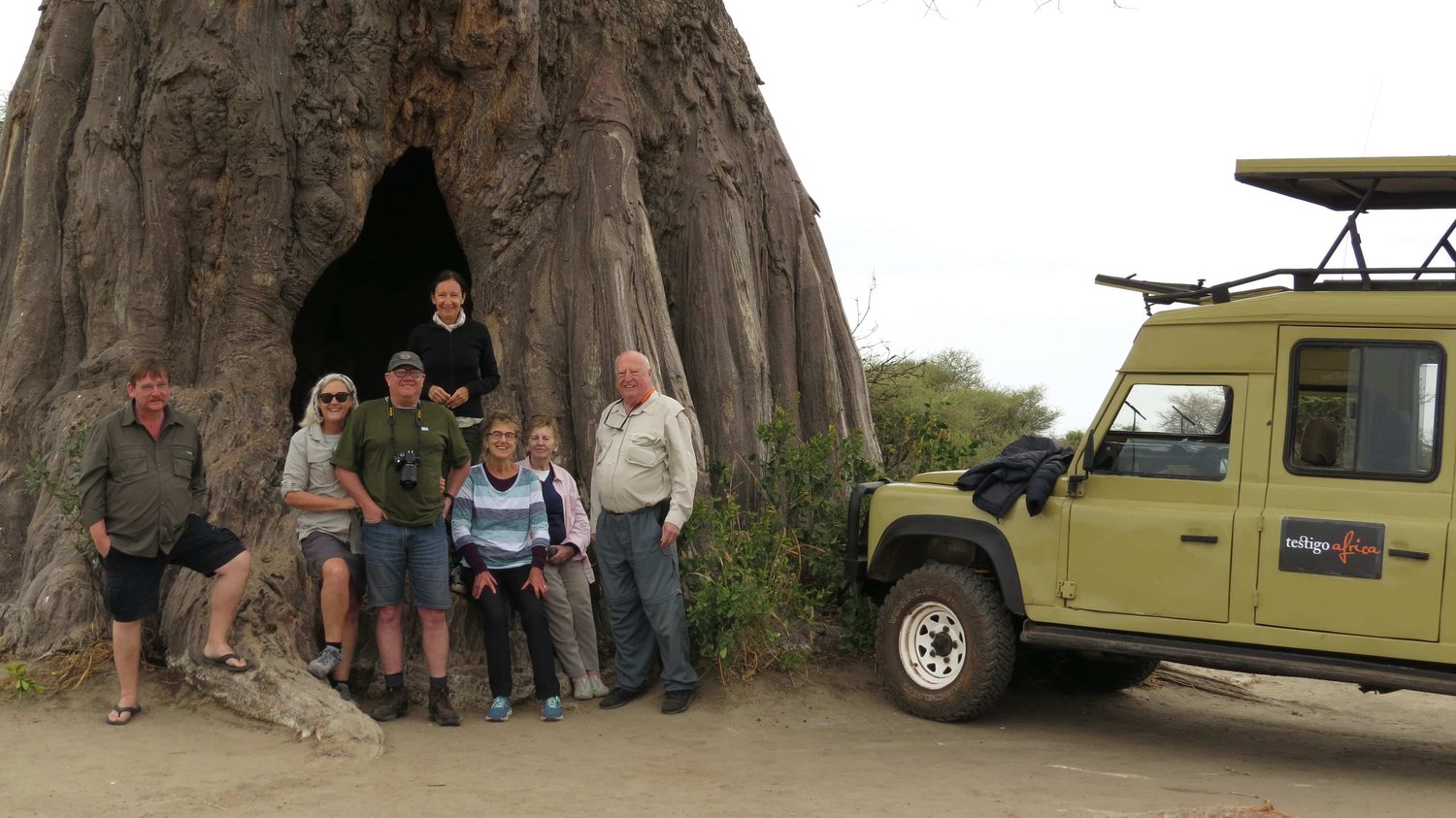 Photo of travellers around a big tree